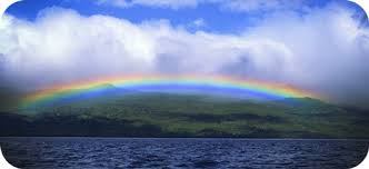 Read more about the article The Colors of The Rainbow.